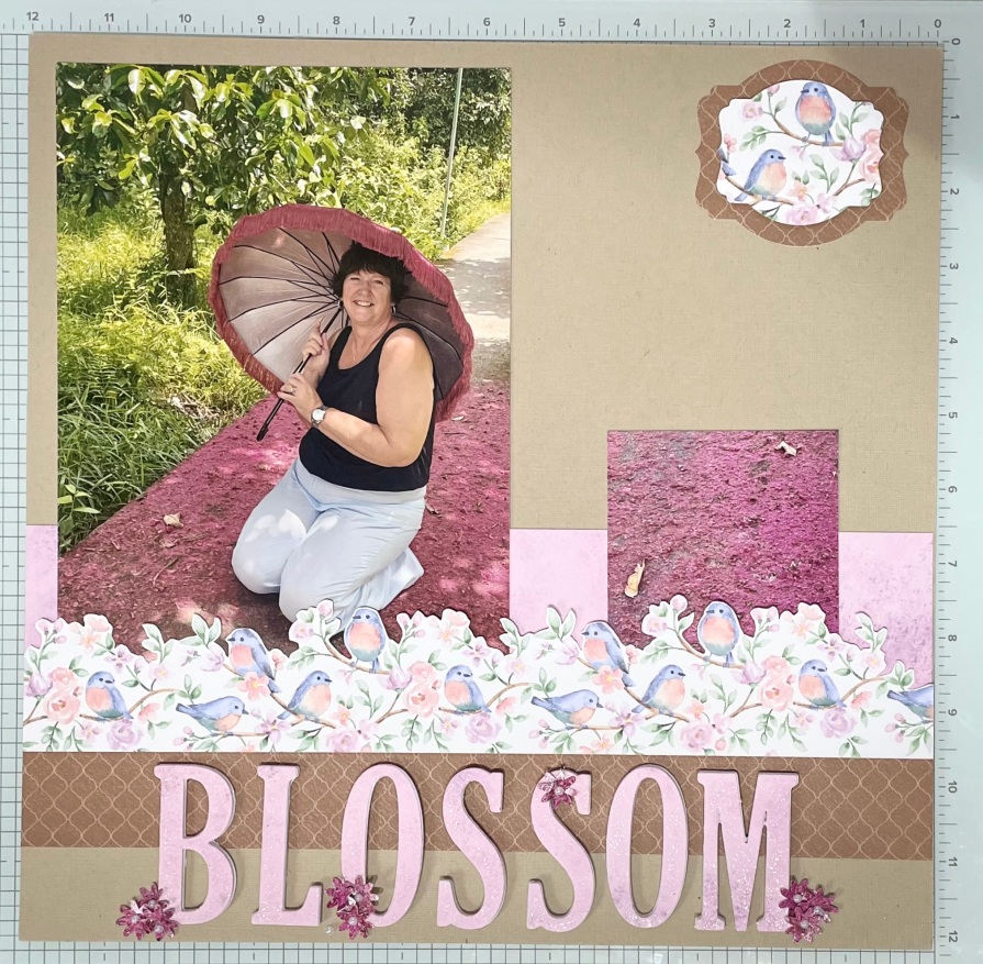 This image has an empty alt attribute; its file name is Blossom-layout-.jpg